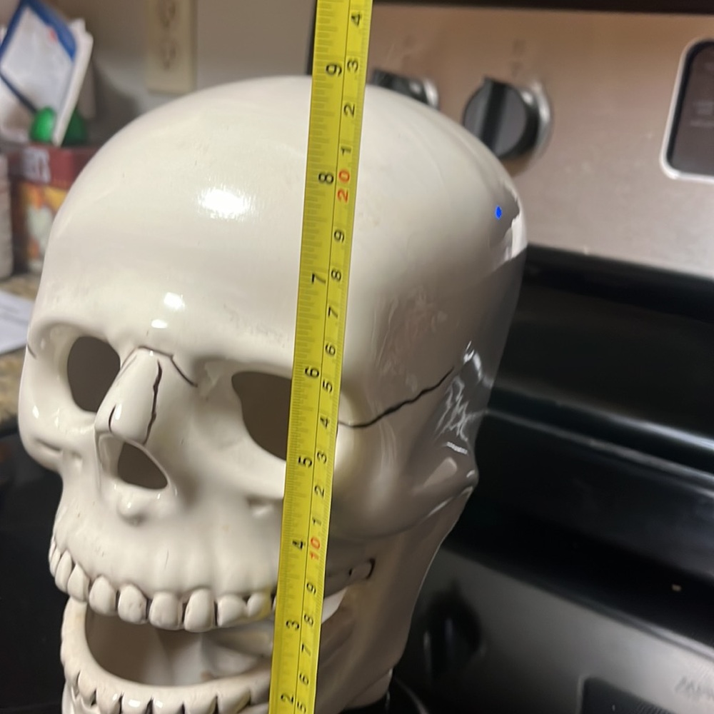 🌺Handmade skeleton head - Picture 3 of 10